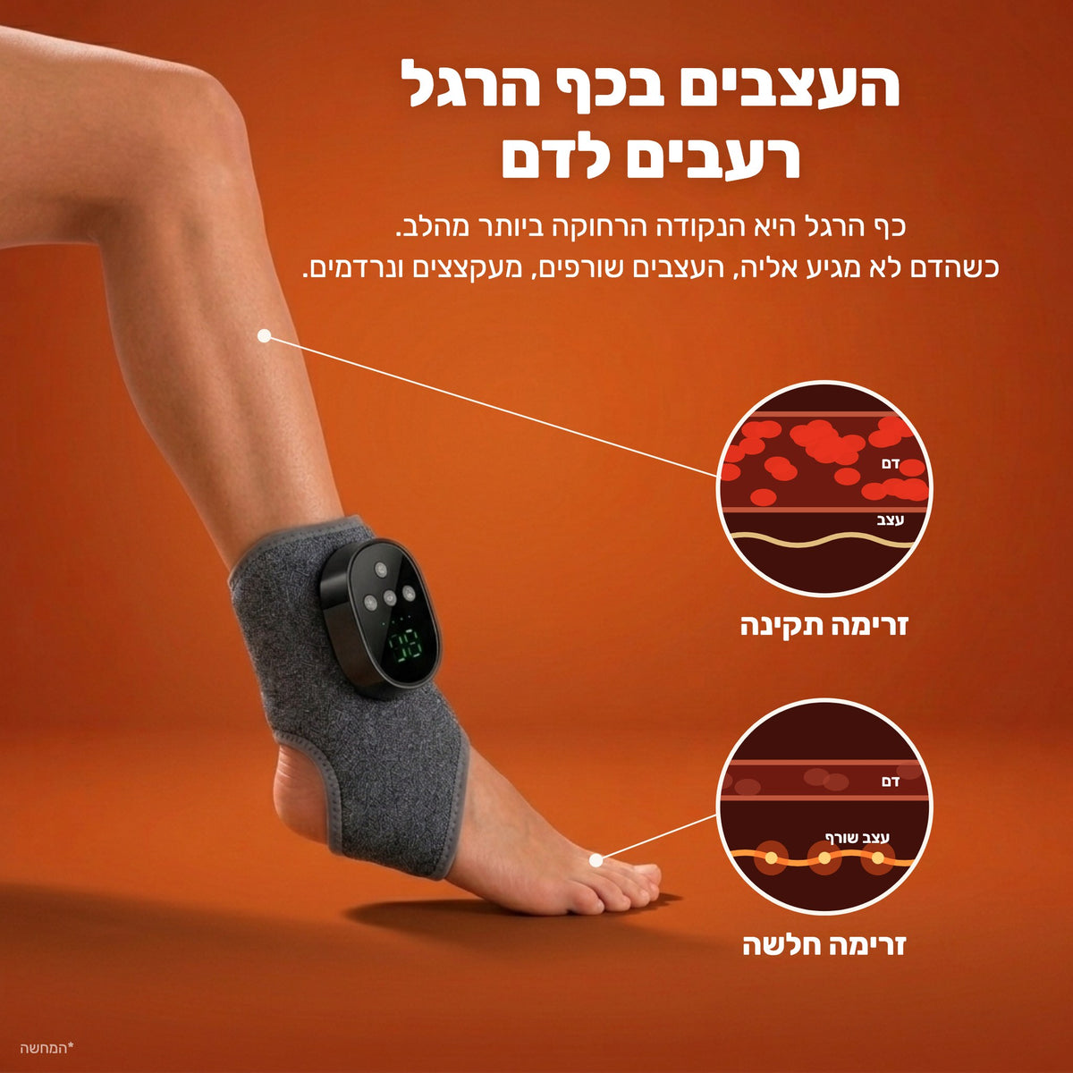 העצבים בכף הרגל רעבים לדם